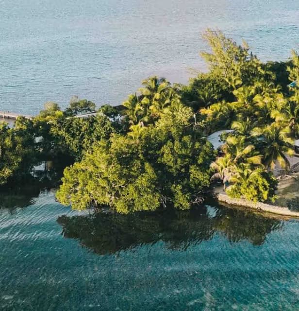 Coral Caye Full-Day Experience